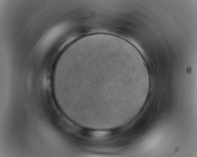 X0000100421151200807032055