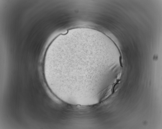 X0000100421152200807032055