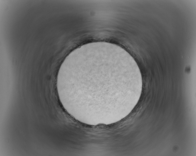 X0000100421153200807032054