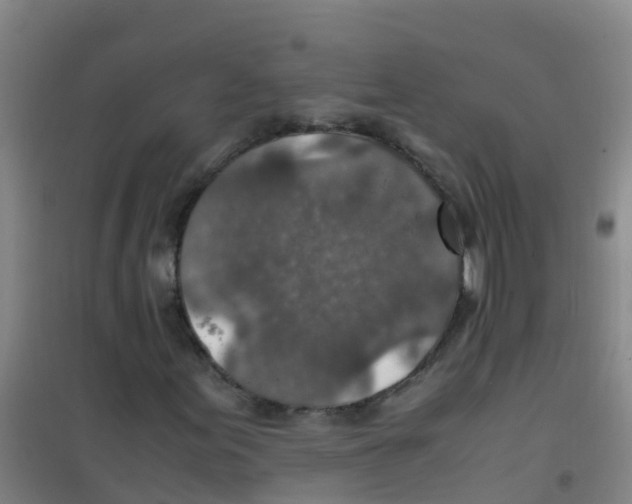 X0000100421155200807032054