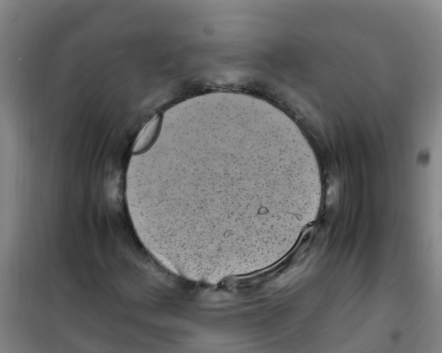 X0000100421156200807032054