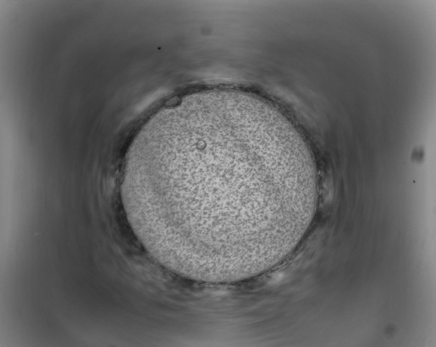 X0000100421157200807032054