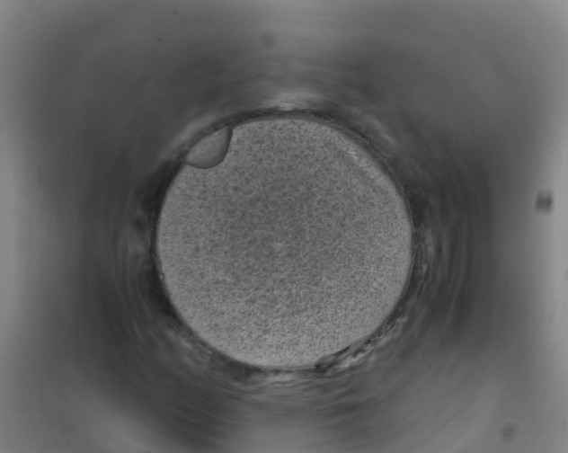 X0000100421158200807032054