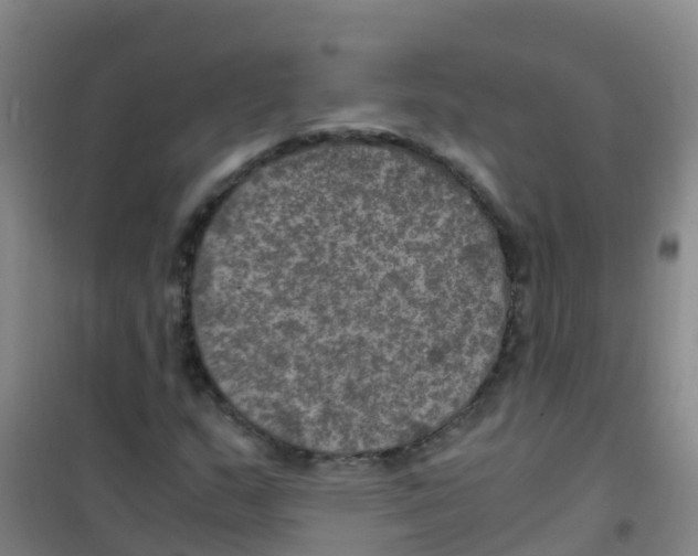 X0000100421159200807032054