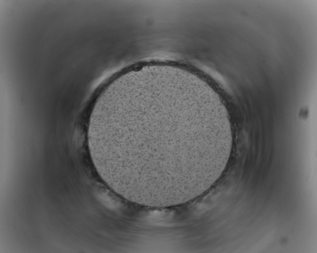 X0000100421160200807032054