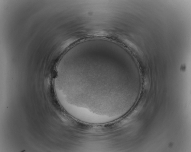 X0000100421161200807032054