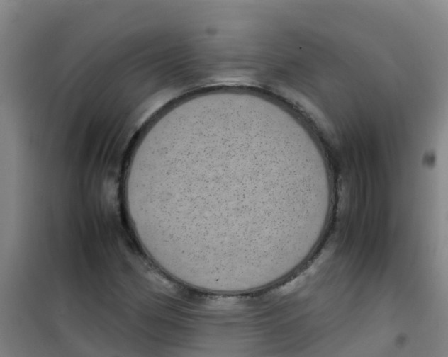 X0000100421162200807032054