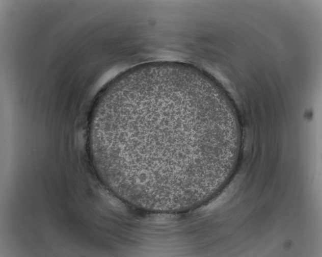 X0000100421163200807032054