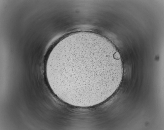 X0000100421164200807032054