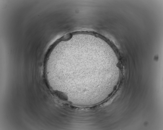 X0000100421165200807032054