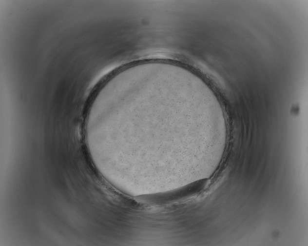 X0000100421166200807032054