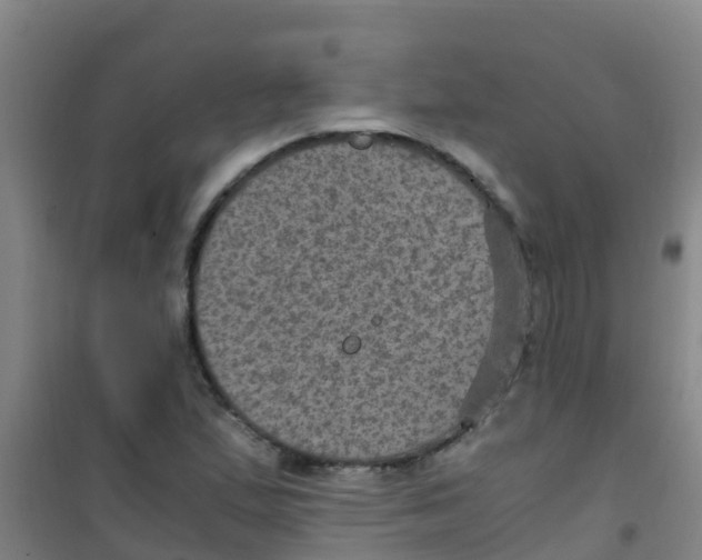 X0000100421167200807032054