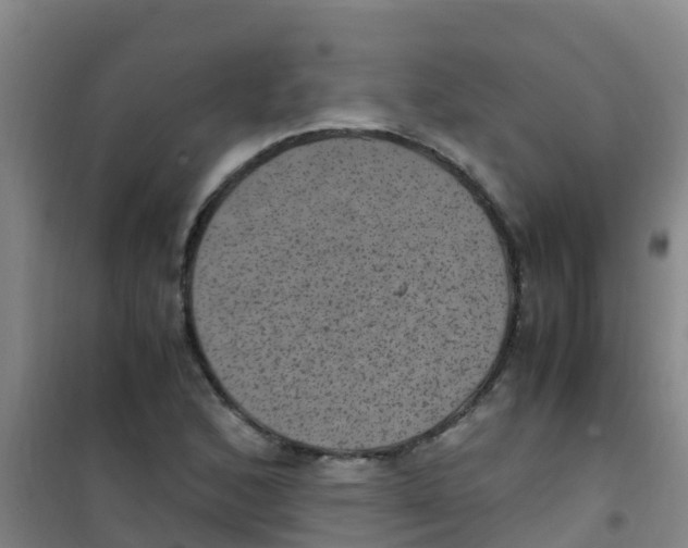 X0000100421168200807032054