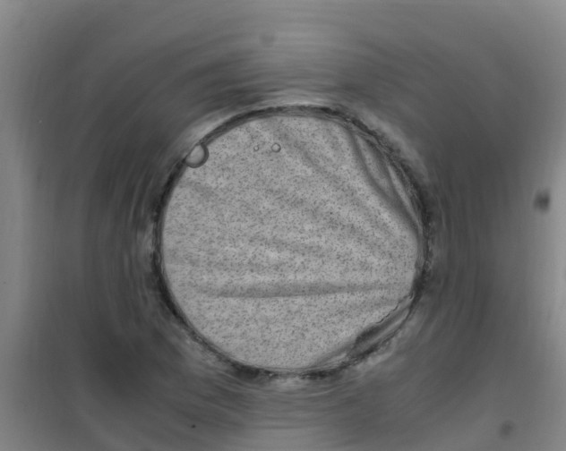 X0000100421169200807032054