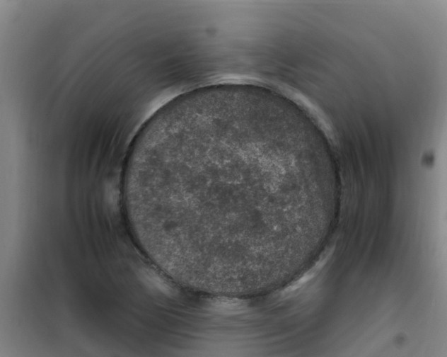 X0000100421170200807032054