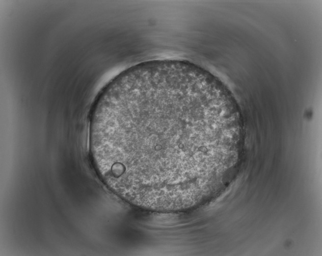 X0000100421171200807032054