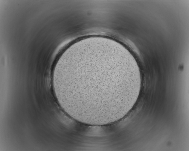 X0000100421172200807032054