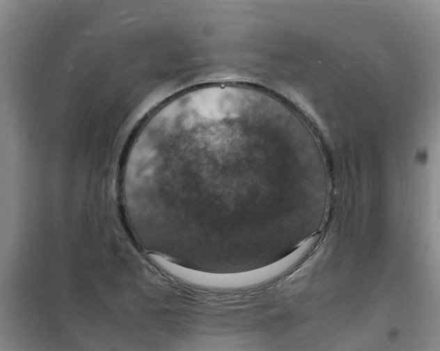 X0000100421173200807032054