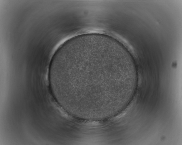 X0000100421174200807032054