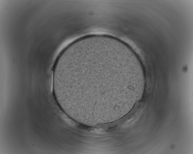 X0000100421175200807032054