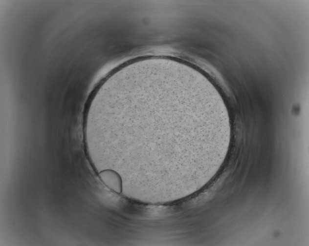 X0000100421176200807032054