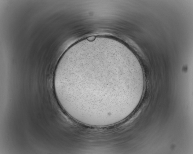 X0000100421177200807032054