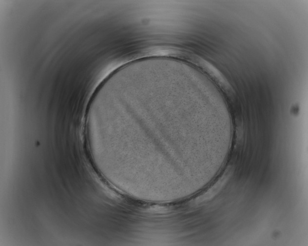 X0000100421178200807032054