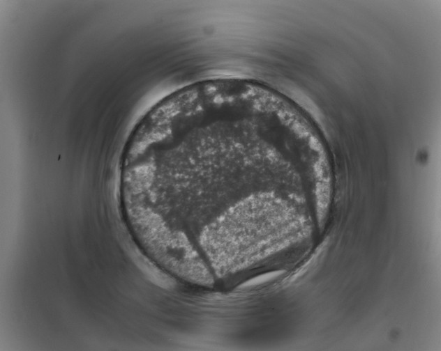 X0000100421179200807032054