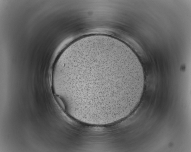 X0000100421180200807032054