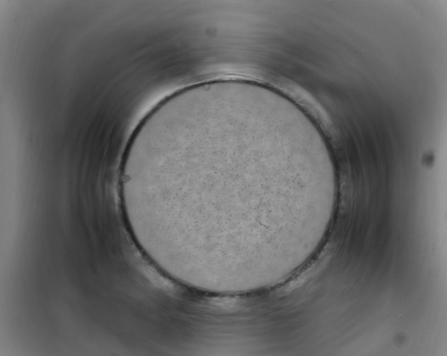 X0000100421182200807032054