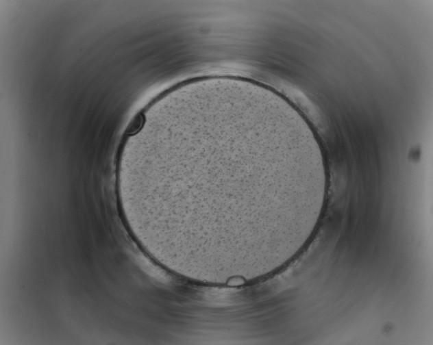 X0000100421184200807032054