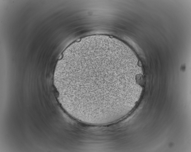 X0000100421185200807032054