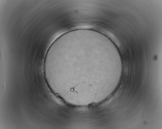 X0000100421186200807032054