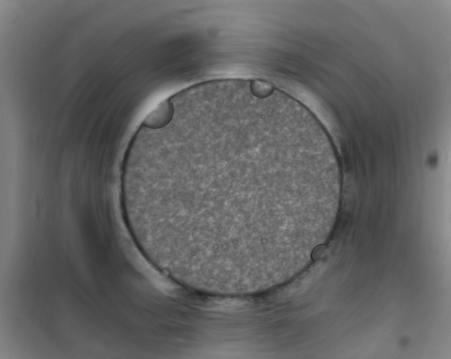 X0000100421187200807032054