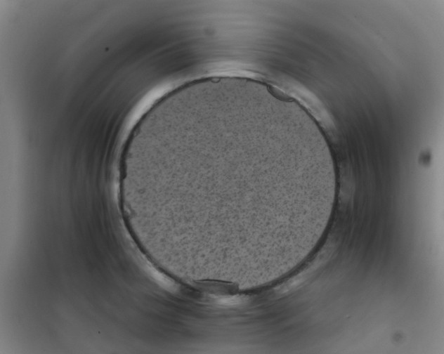 X0000100421188200807032054