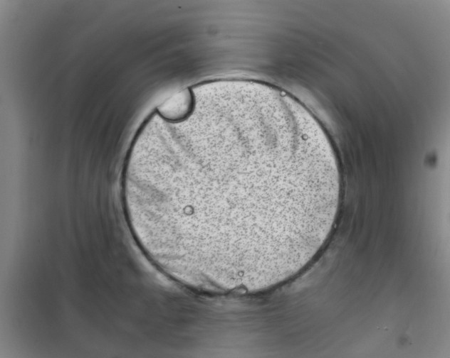 X0000100421189200807032054