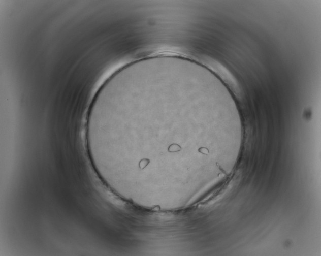 X0000100421190200807032054