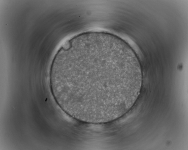 X0000100421191200807032054