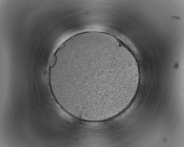 X0000100421192200807032054