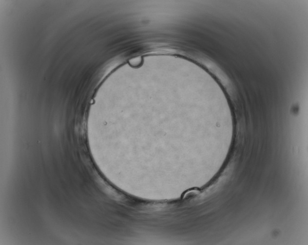 X0000100421193200807032054