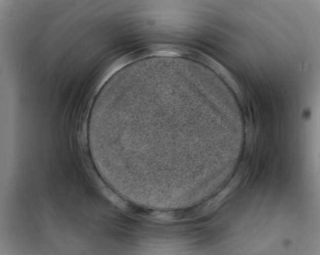 X0000100421194200807032054