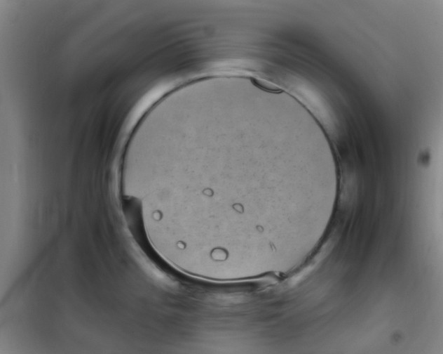 X0000100421196200807032054