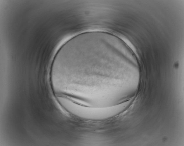 X0000100421197200807032054