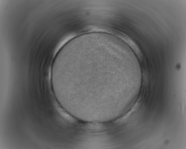 X0000100421198200807032054