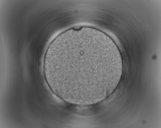 X0000100421199200807032054