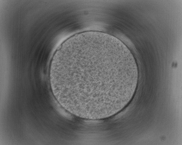 X0000100421200200807032054