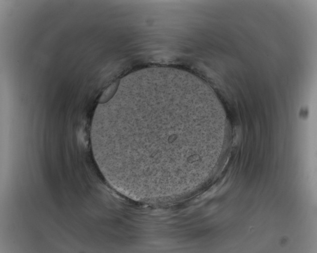 X0000100421202200807032053