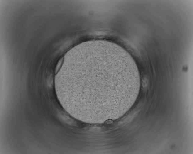 X0000100421204200807032053