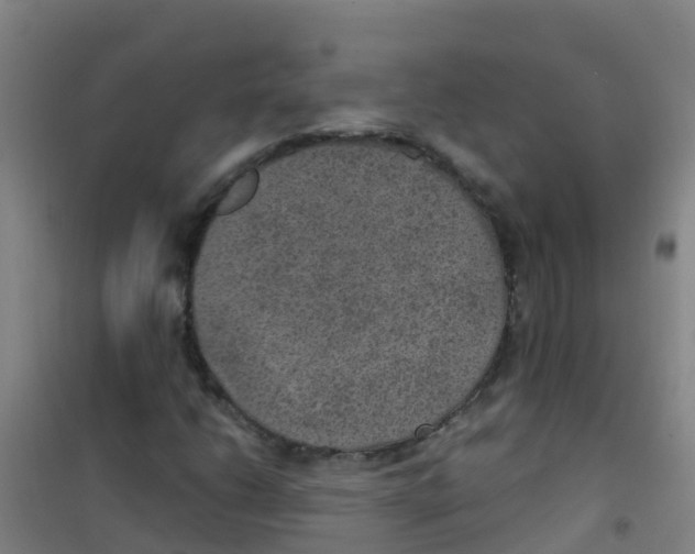 X0000100421206200807032053