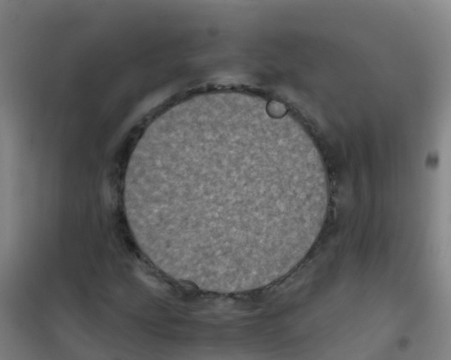 X0000100421207200807032053